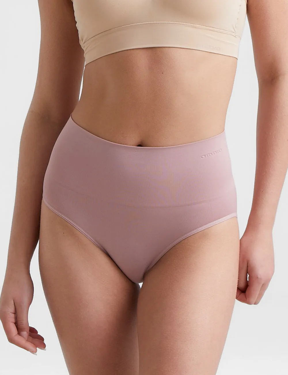 Ambra 2 Pack Smoothies Full Brief Knickers In Dusty Mocha/Nine Iron