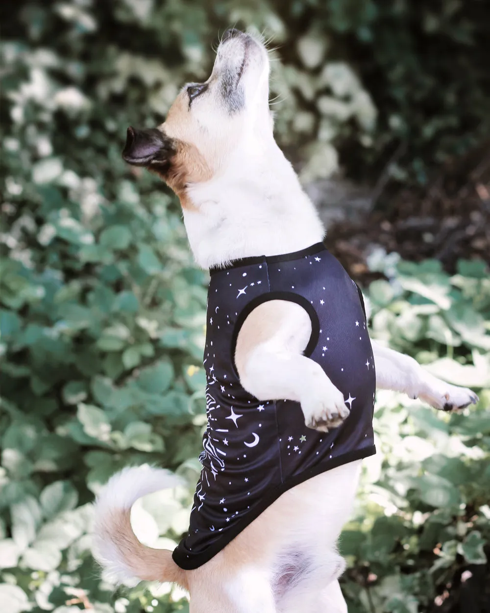 Astral Pet Vest - Dog or Cat