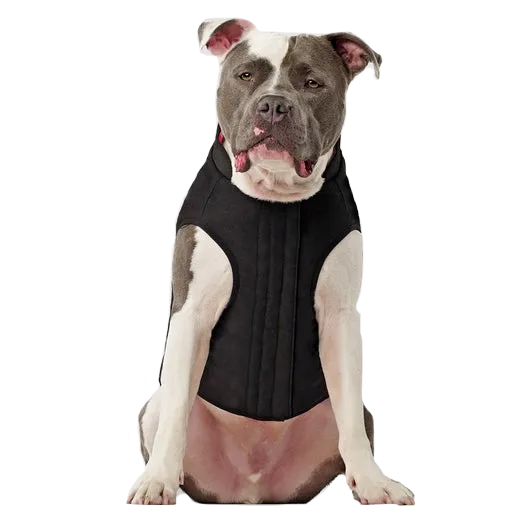 Canada Pooch Reversible Vest Black/Plaid