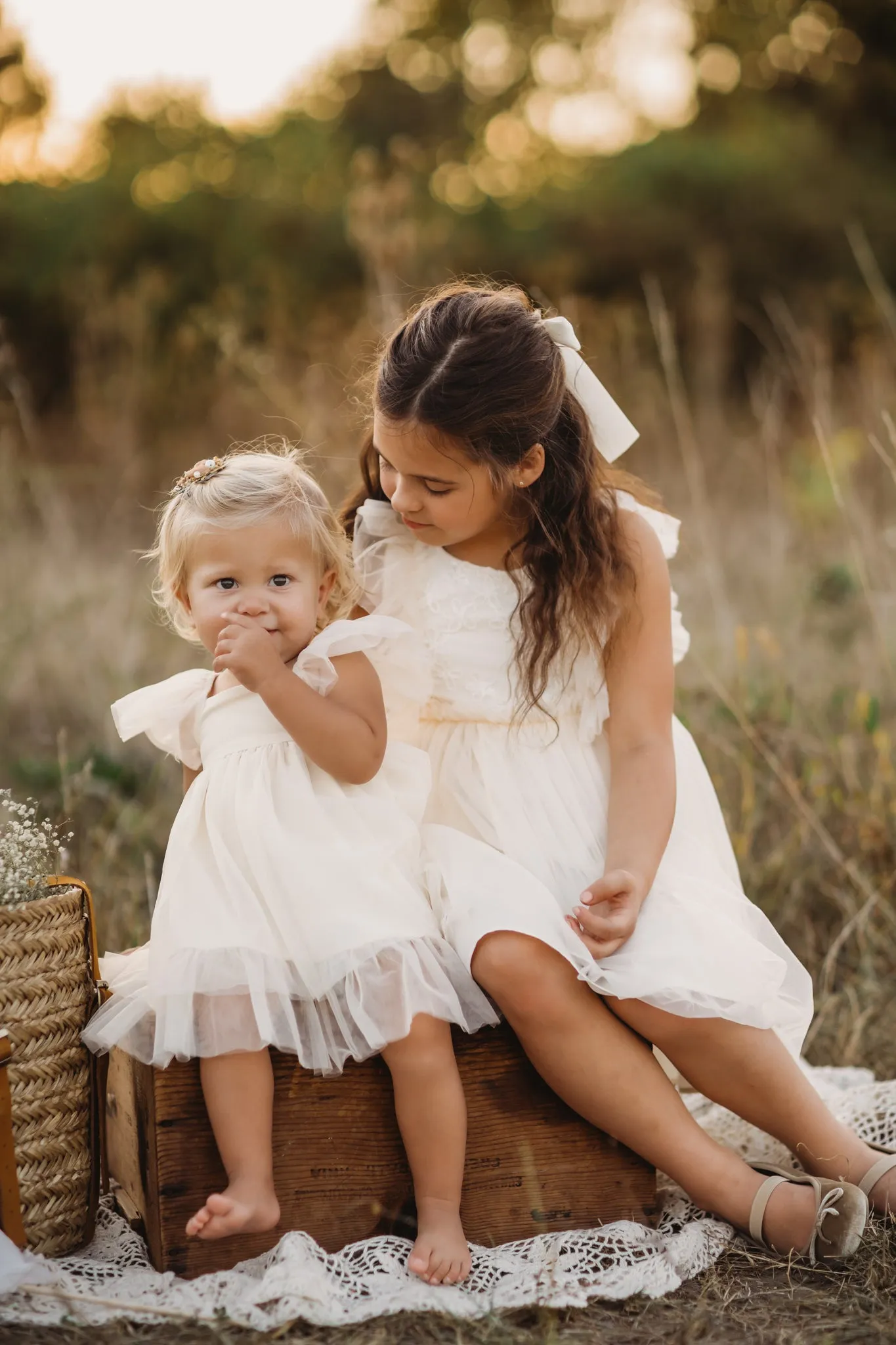 Kaitlyn Embroidered Dress (antique ivory tulle)