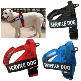 Personalized Adjustable Dog Harness Vest