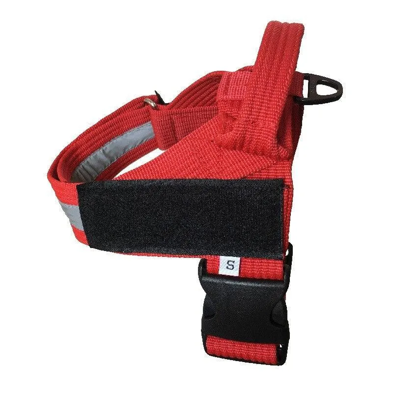 Personalized Adjustable Dog Harness Vest