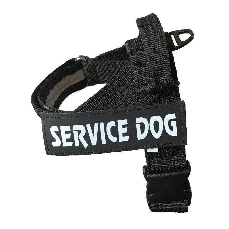 Personalized Adjustable Dog Harness Vest