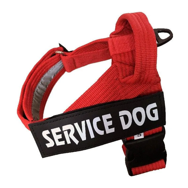 Personalized Adjustable Dog Harness Vest