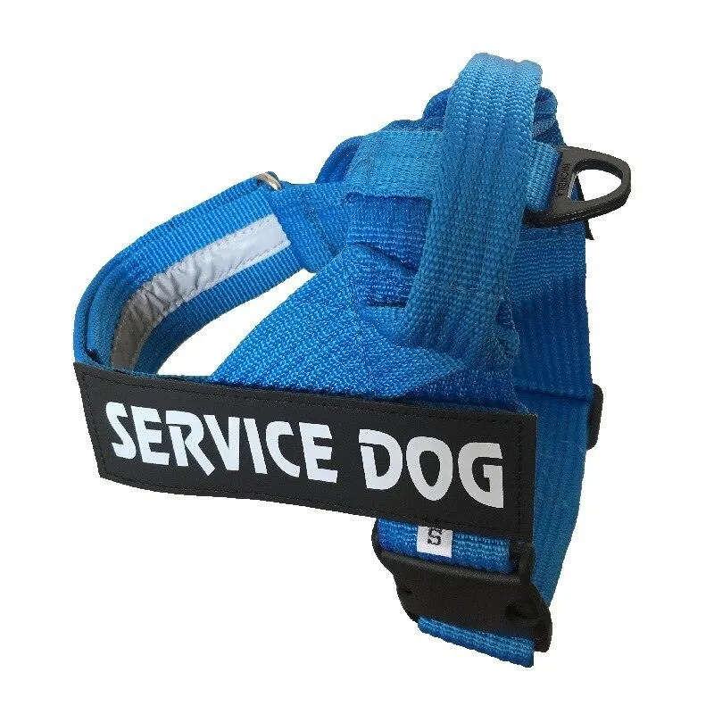 Personalized Adjustable Dog Harness Vest