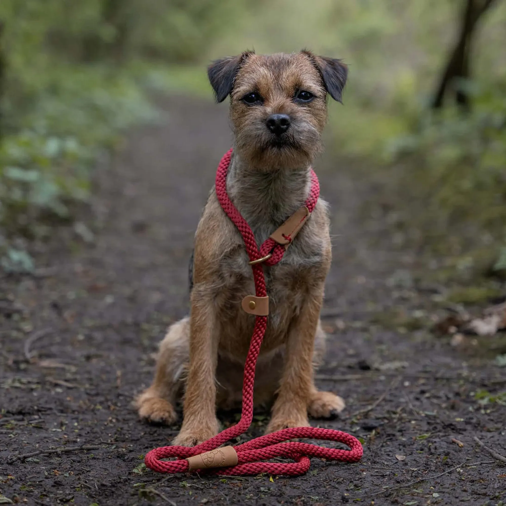 Ruff and Tumble Dog Lead