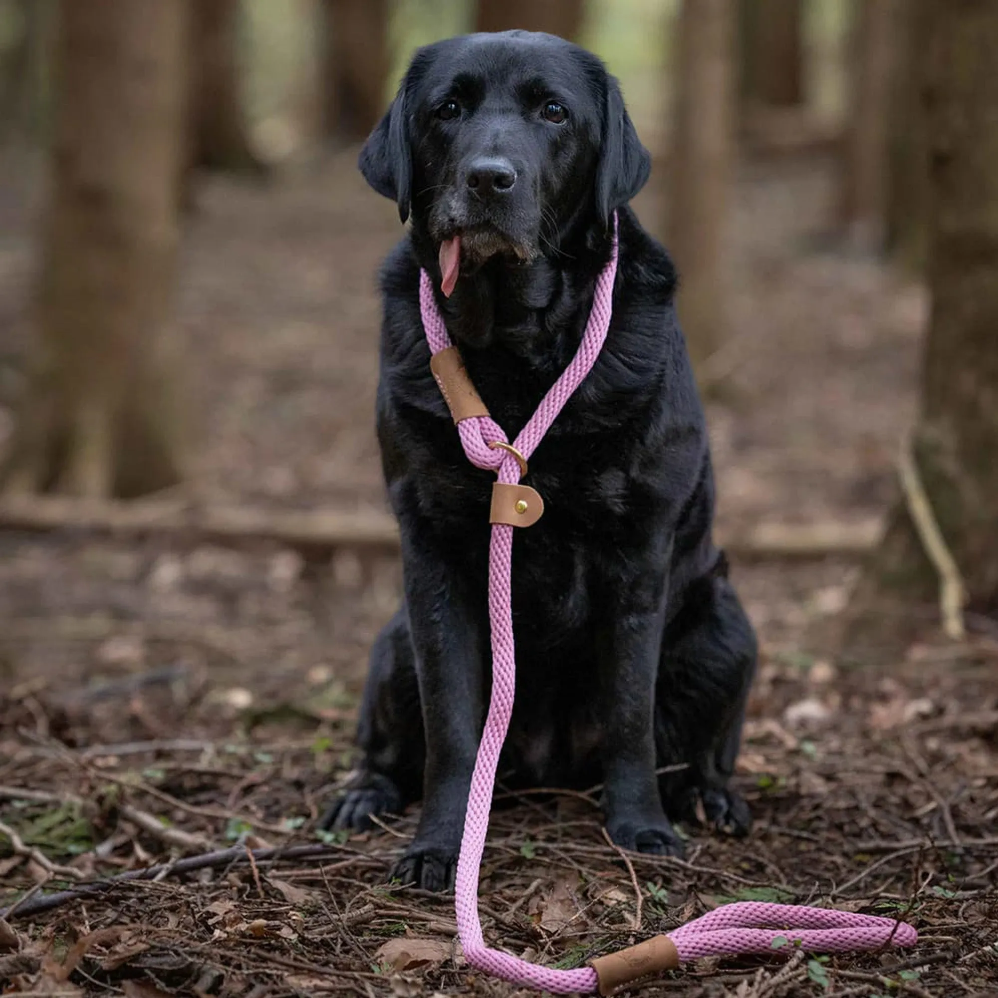 Ruff and Tumble Dog Lead